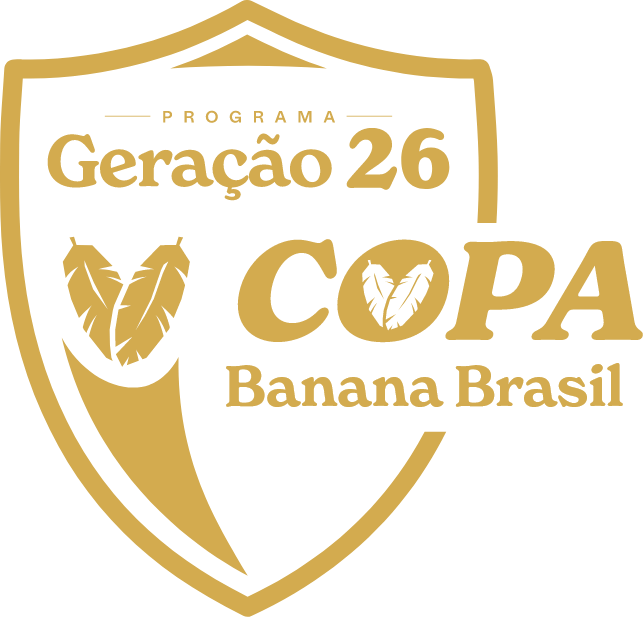 Geração Copa